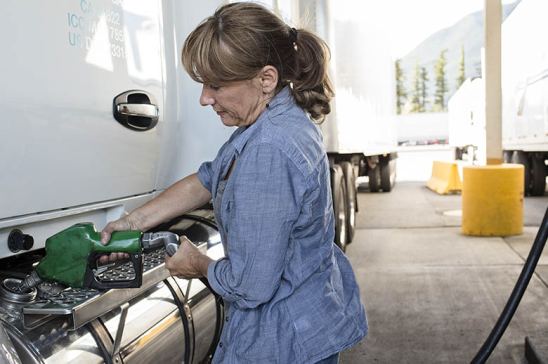 Combustibles Renovables